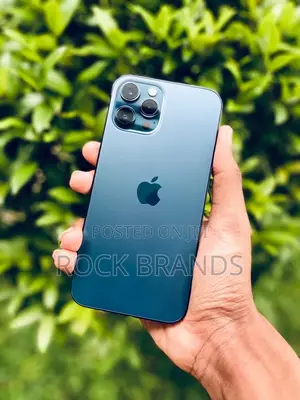 Apple iPhone 12 Pro Max 256 GB Black