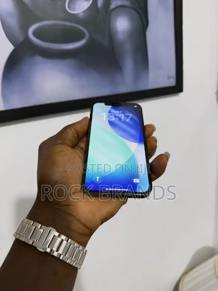Apple iPhone 13 Pro Max 256 GB