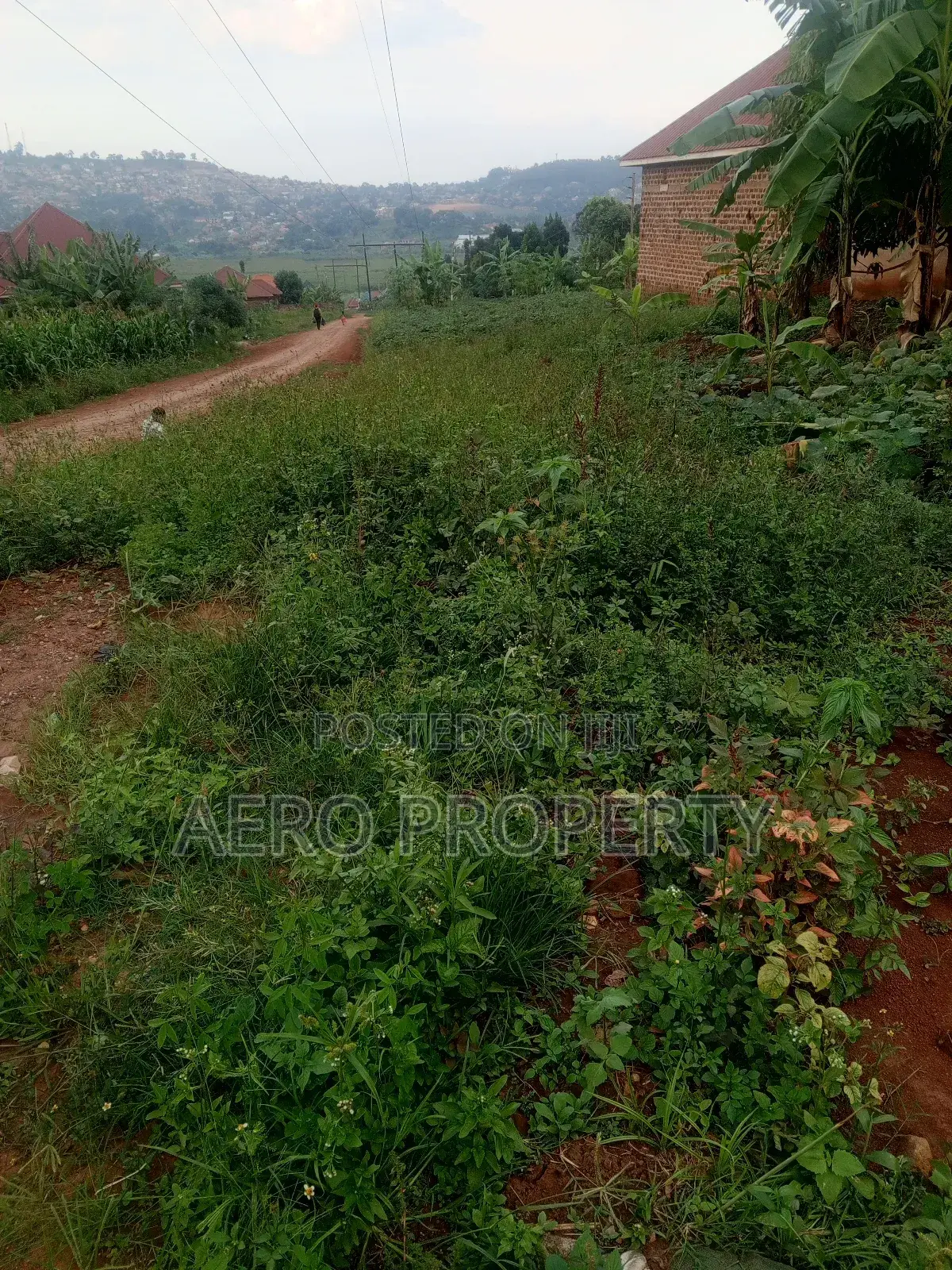 Land for Rent