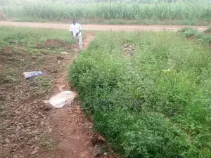 Land for Rent