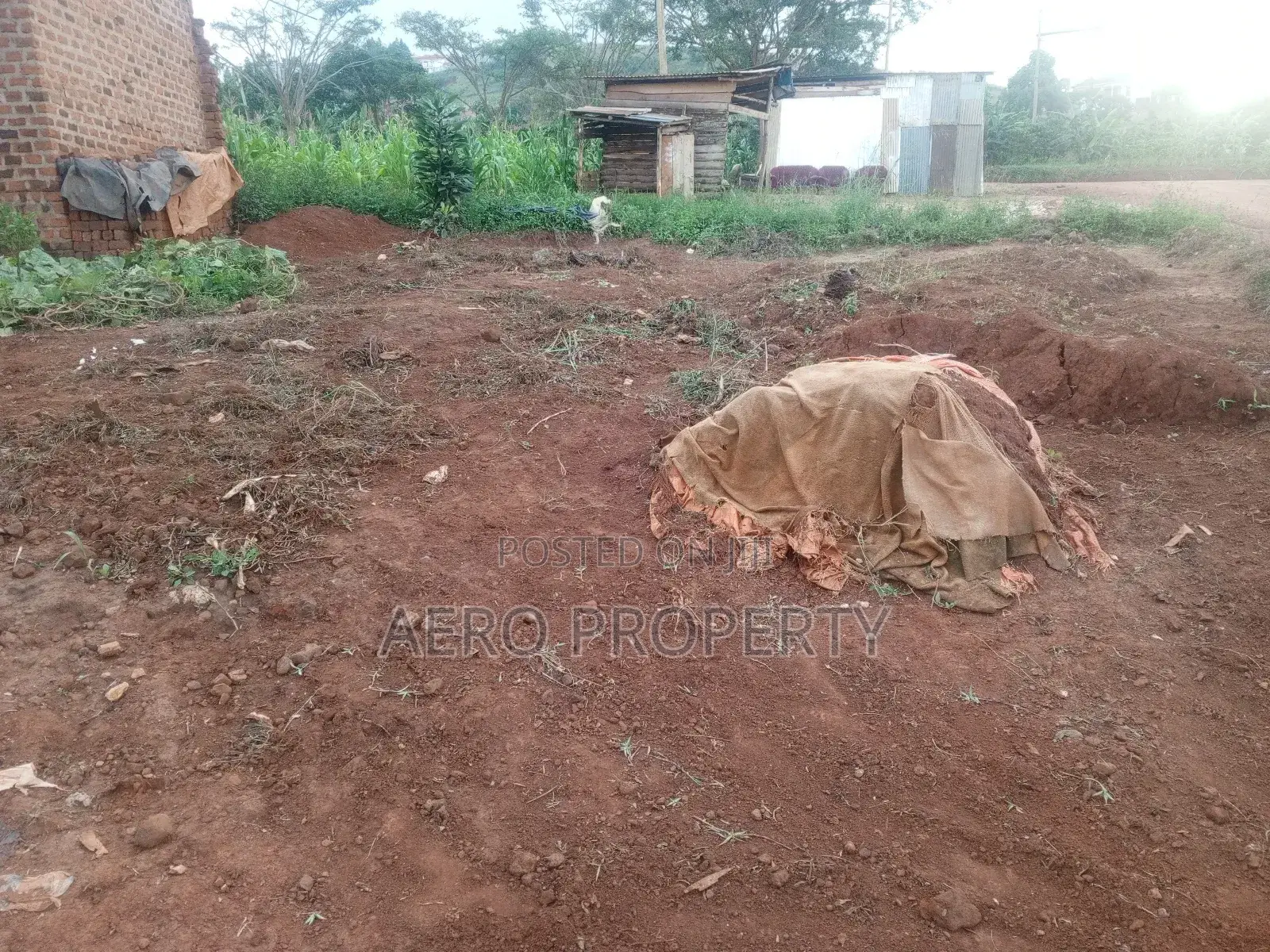 Land for Rent