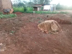 Land for Rent