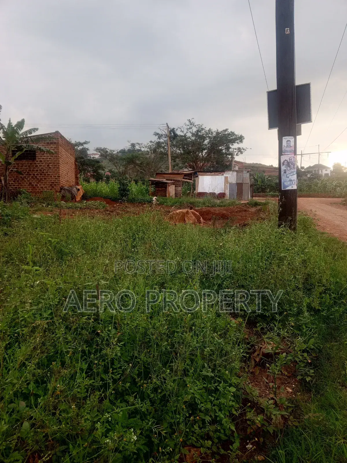 Land for Rent