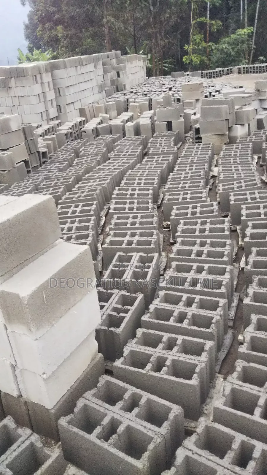Extraordinary Concretes