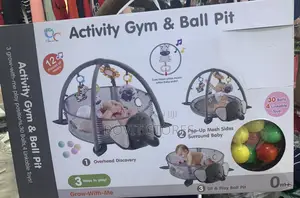 Activity Gym and Ball Pit