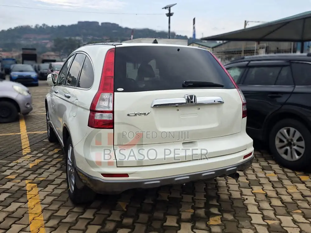 Honda CR-V 2011 White