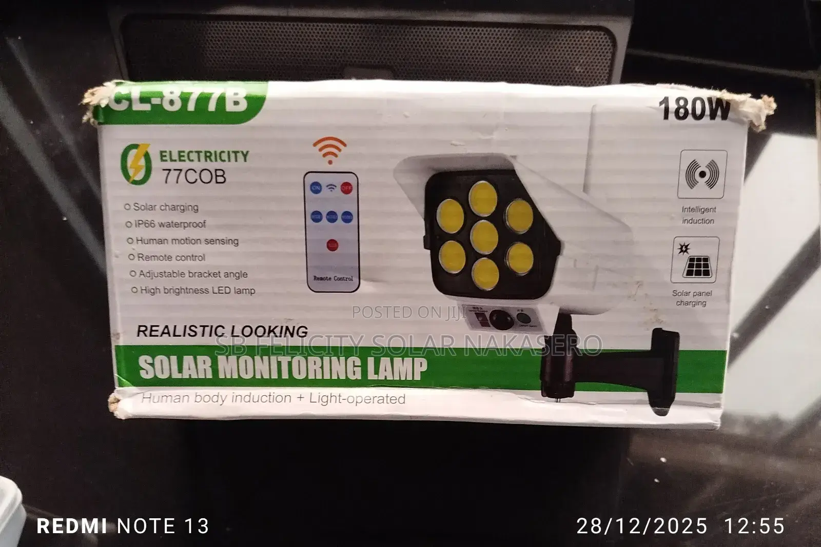 Solar Monitoring Lamp