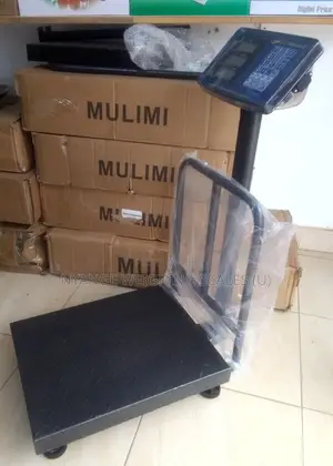 High Accuracy Platform Weighing Scales 350kg Weigh Scales