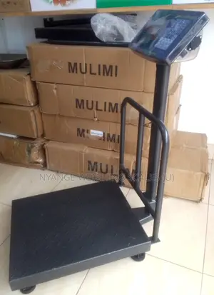Weighing Machine Weigh Platform Weighing Scale 200kg-300kg