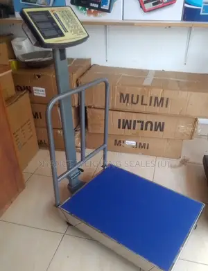 Weighing Machine Platform Weighing Scale 300kg Weigh[65]