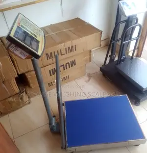 Platform Weighing Scale Bench Digital Type 300kg Weigh Scale