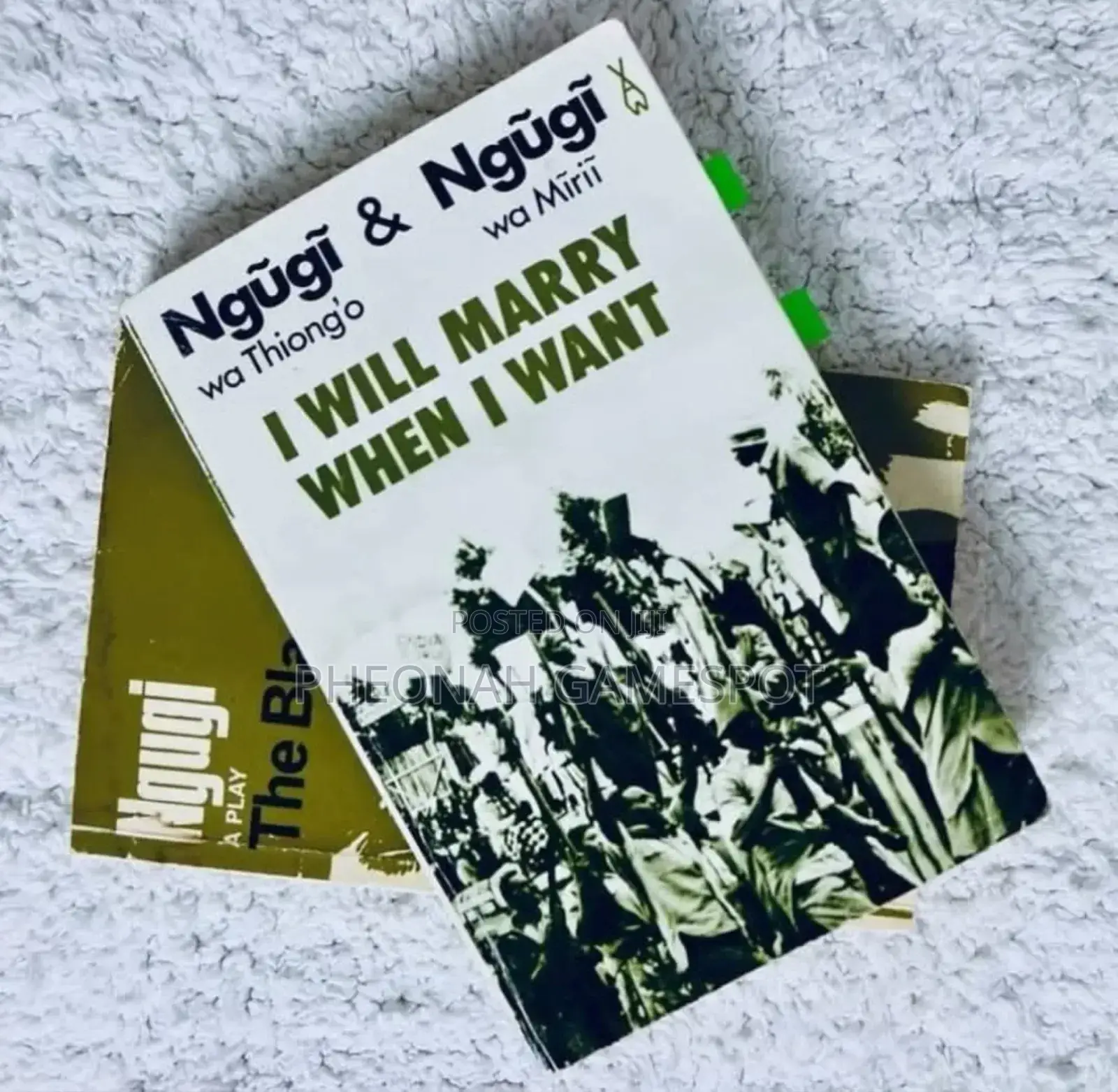 I Will Marry When I Want a Book by Ngugi Wa Thiong'o
