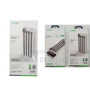 Punex Portable Power Bank