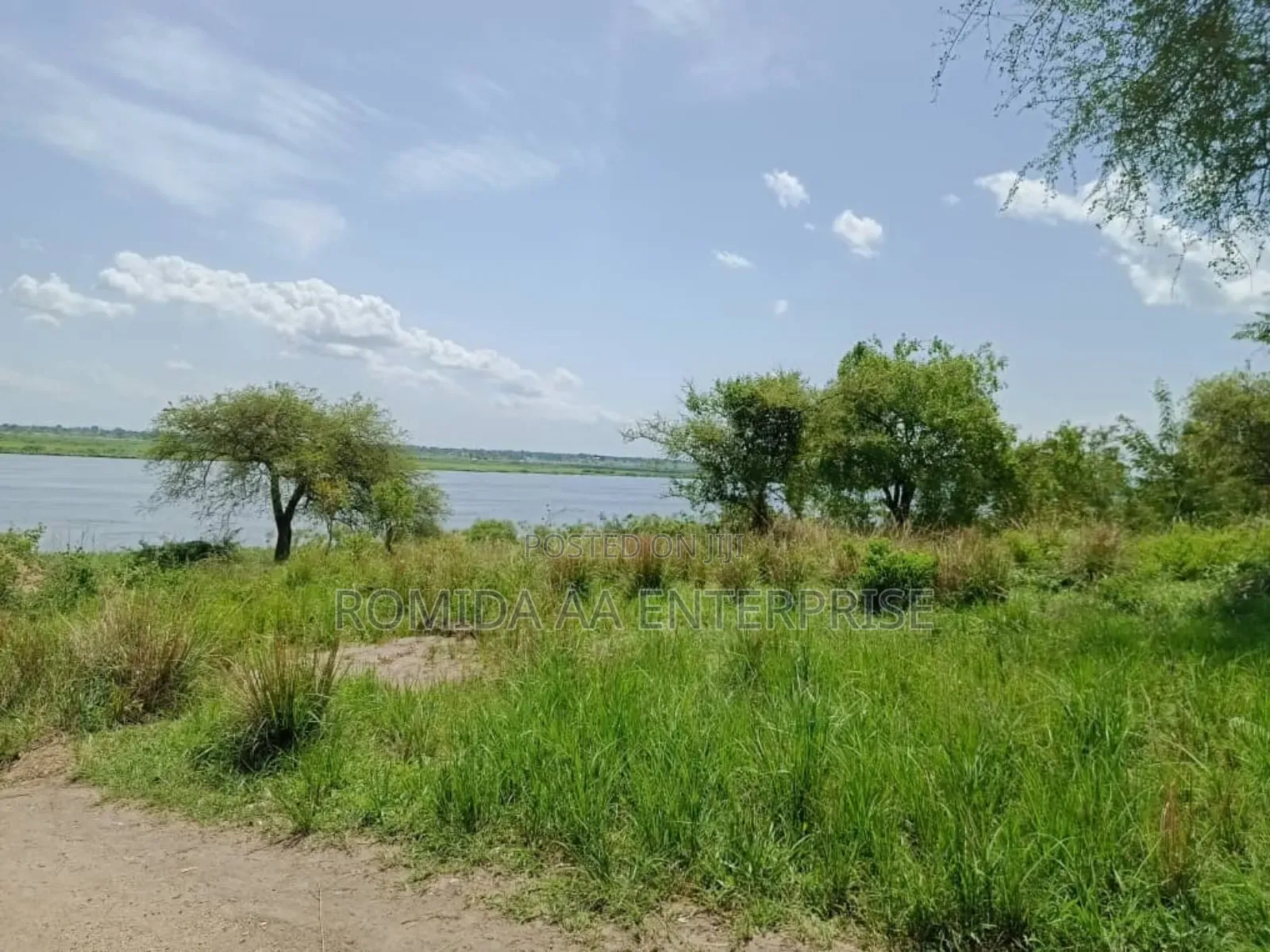 Fertile Farmland in Nwoya