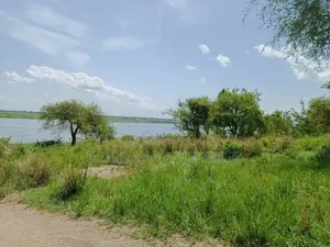 Fertile Farmland in Nwoya