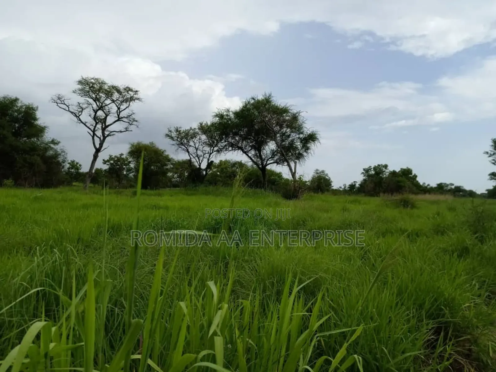 3000 Acres Fertile Farmland Land in Amuru