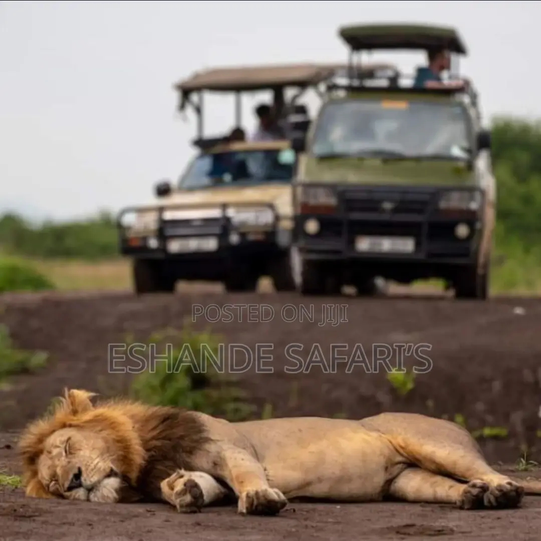 Experience Murchison Falls in 24 Hours: Wildlife, Waterfalls Advent