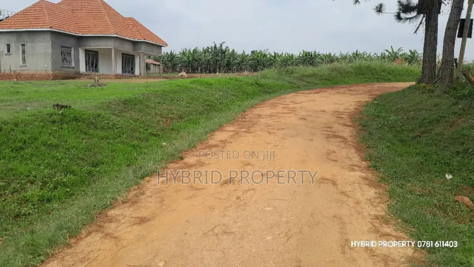 Prime Plots For Sale At Kakiri Town Tarmac View Land Estate~Hoima Rd.