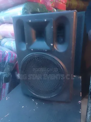 Orignal Speaker 12