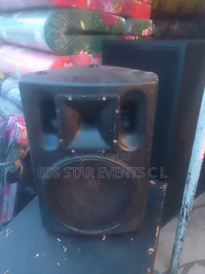 Orignal Speaker 12