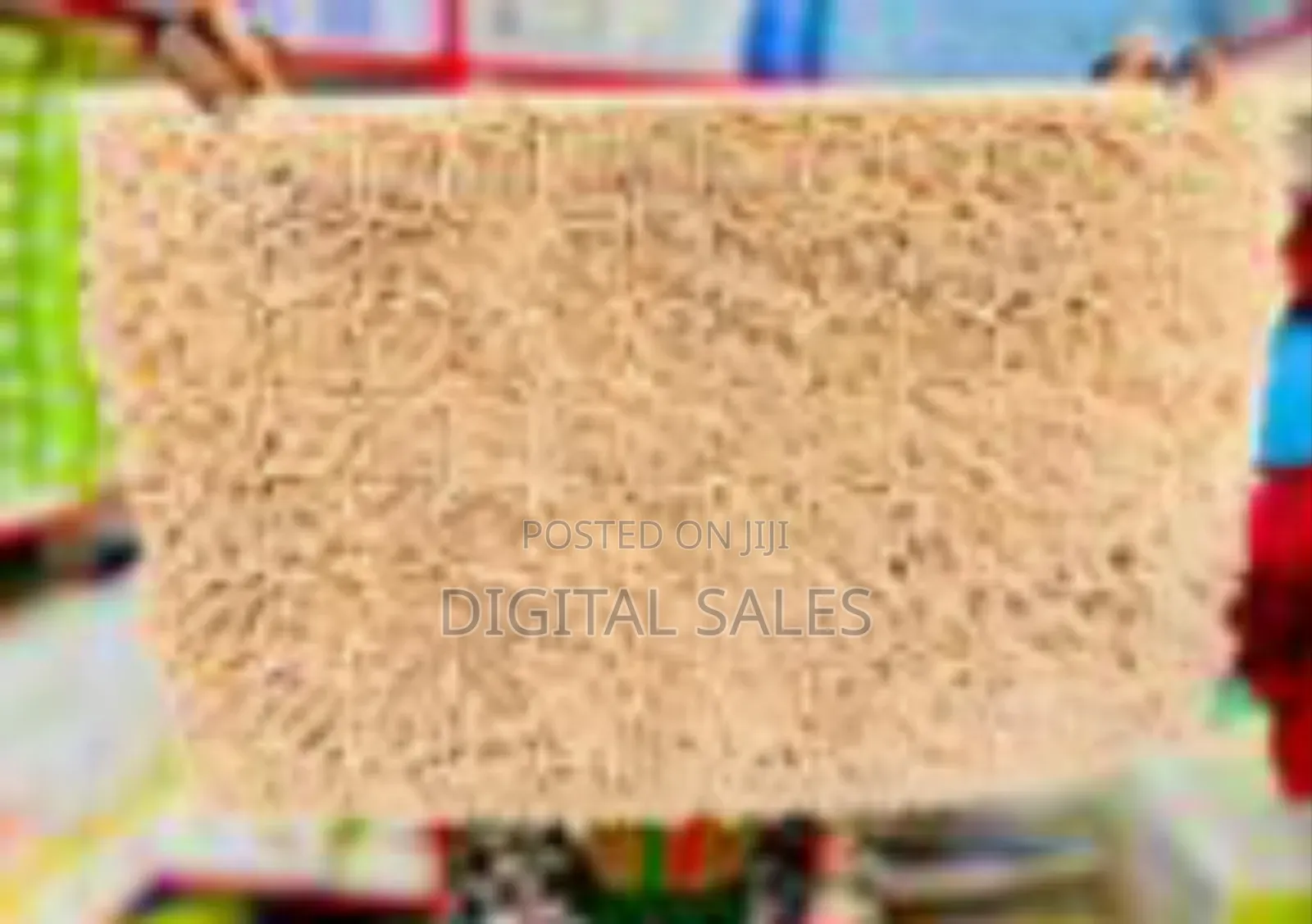 Absorbent Door Rugs
