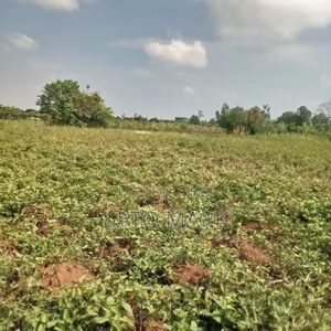 5 Acres for Sale Located at Mukono Nkokonjeru