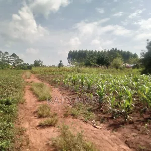 5 Acres for Sale Located at Mukono Nkokonjeru