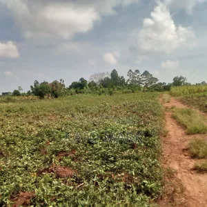 5 Acres for Sale Located at Mukono Nkokonjeru