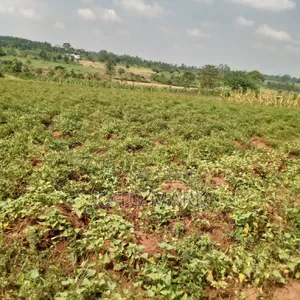 10 Acres for Sale Located at Mukono Nakifuma