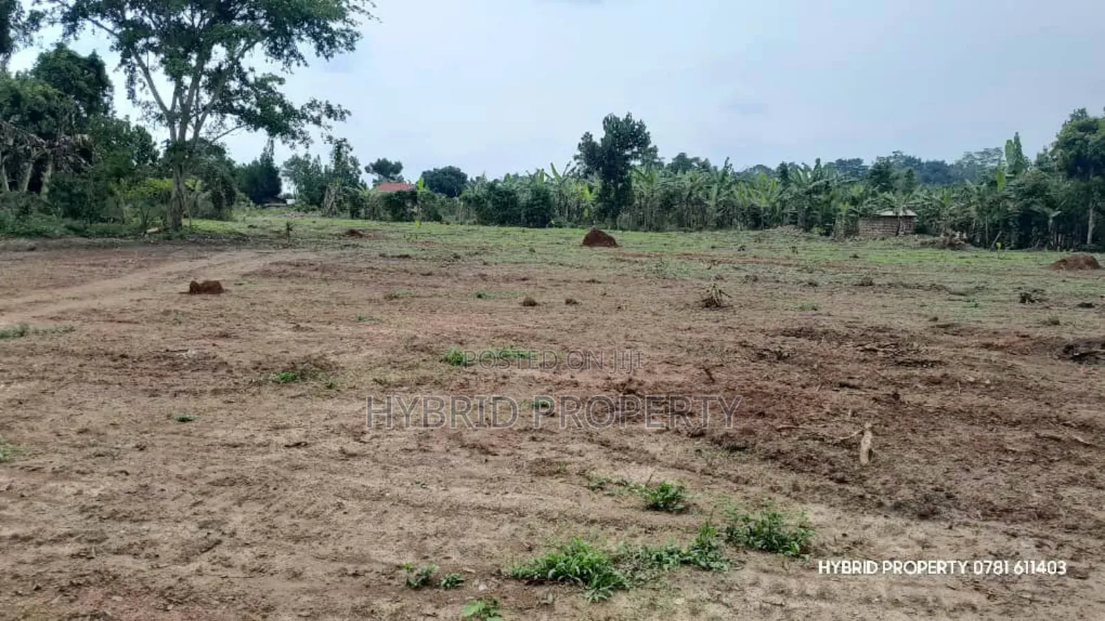 Prime Plots For Sale At Kakiri~Mwera Modern Estate Along Hoima Road.