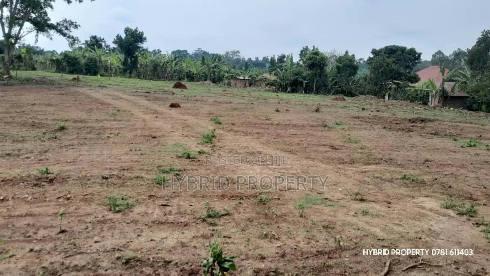 Prime Plots For Sale At Kakiri~Mwera Modern Estate Along Hoima Road.