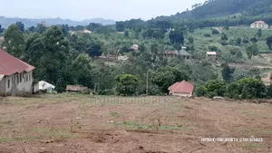 Prime Plots For Sale At Wakiso~Kaliiti Hill View Land Estate~Hoima Rd.