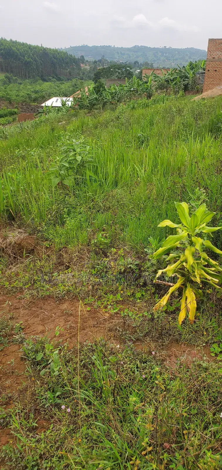 Plot for Sell