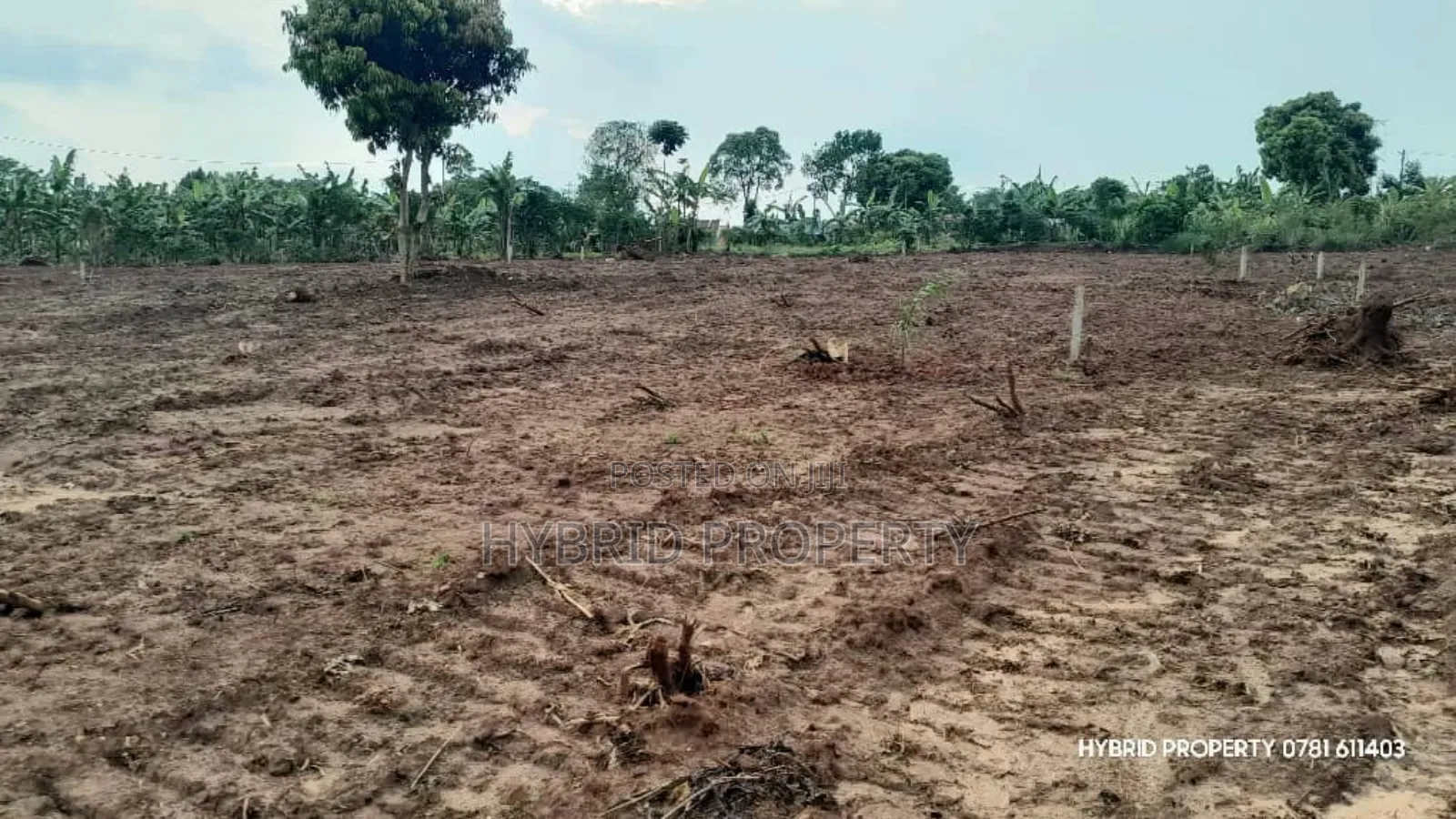 Prime Plots for Sale at Mpigi~Lungala Modern Estate Along Masaka Road.