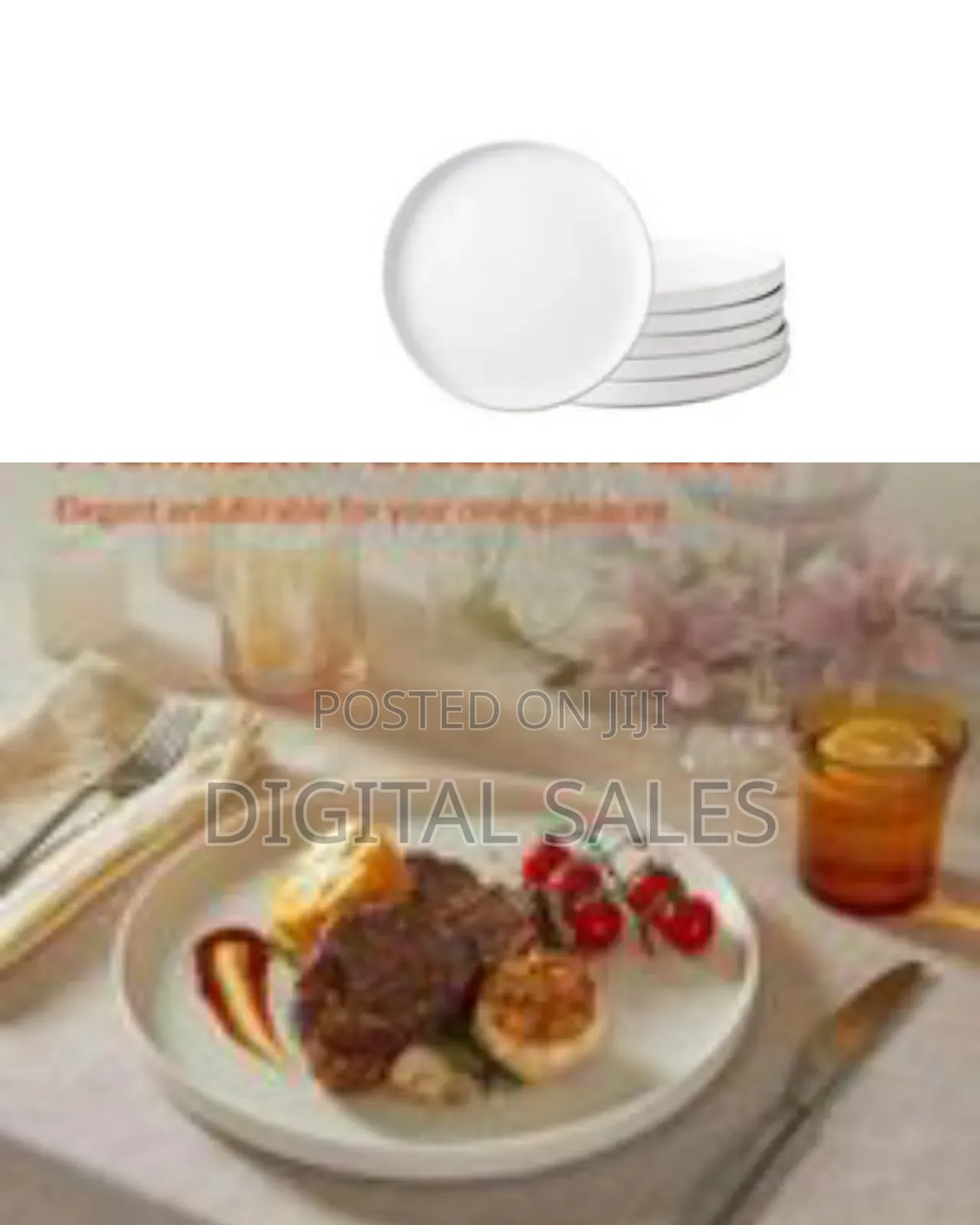 Set of 6 Modern Ceramic Dinner Plates/Serving Platters