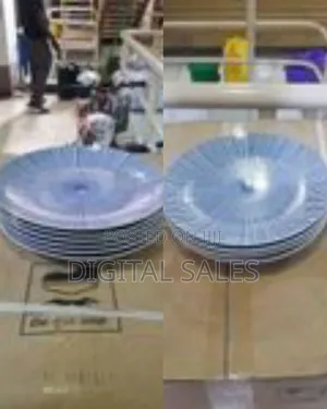 6 Piece Set of Ceramic Dinner Plates