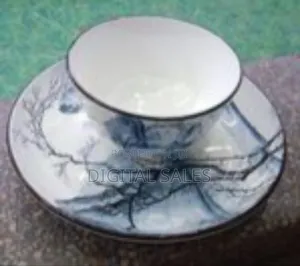 Set of 12 Ceramic Dinner Plates and Bowls