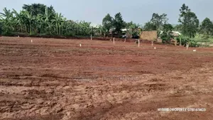 Prime Plots for Sale at Nakirebe Tarmac View Modern Estate~Masaka Road