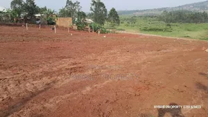 Prime Plots for Sale at Nakirebe Tarmac View Modern Estate~Masaka Road