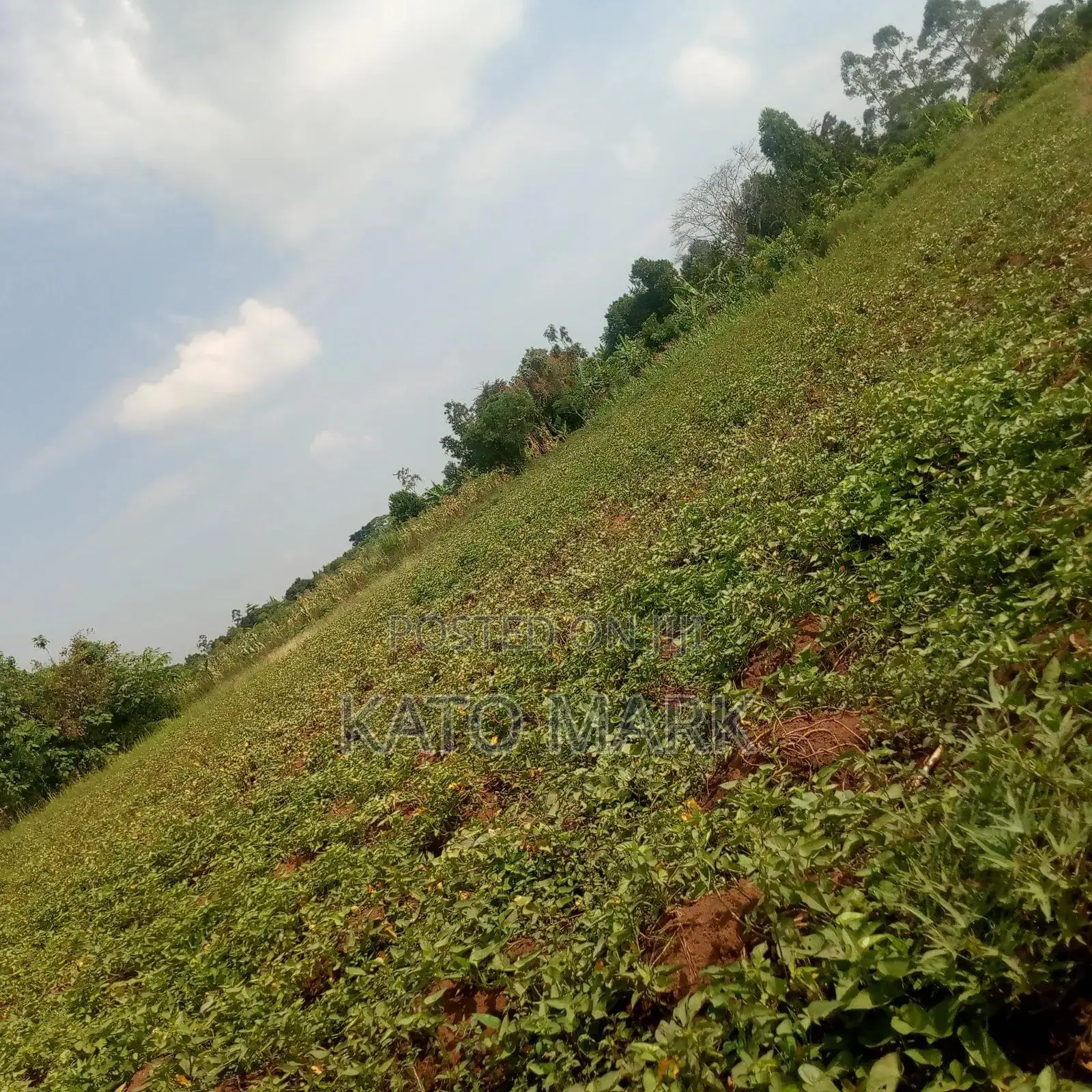 10 Acres for Sale Located at Mukono Nakifuma