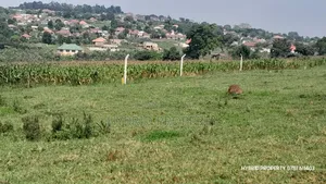 Prime Plots for Sale at Buloba~Bukasa Modern Land Estate~Mityana Road.