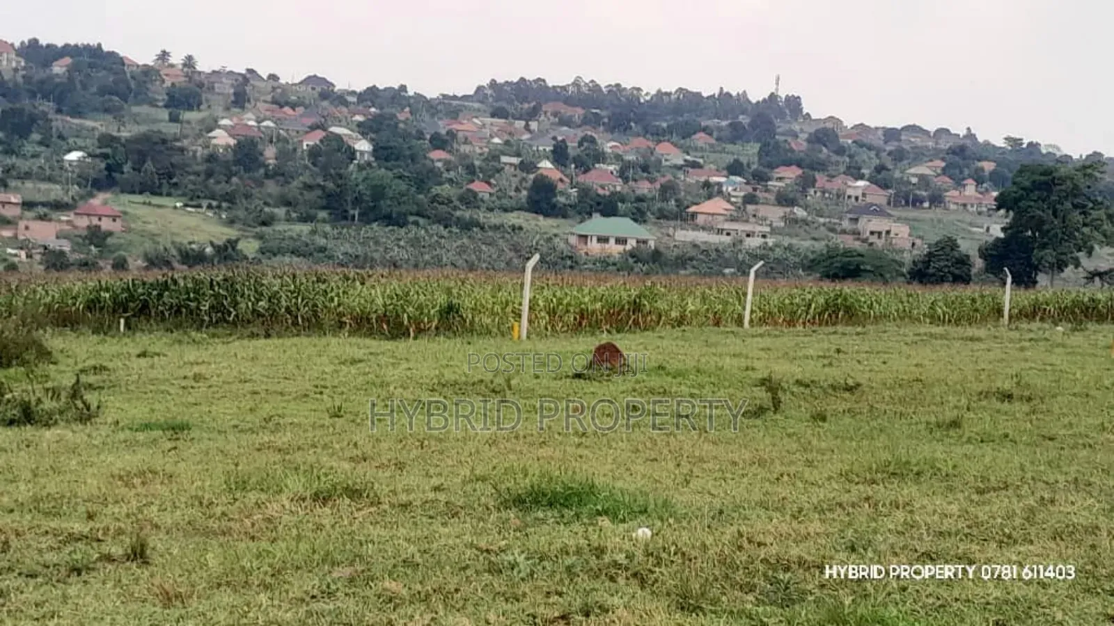 Prime Plots for Sale at Buloba~Bukasa Modern Land Estate~Mityana Road.