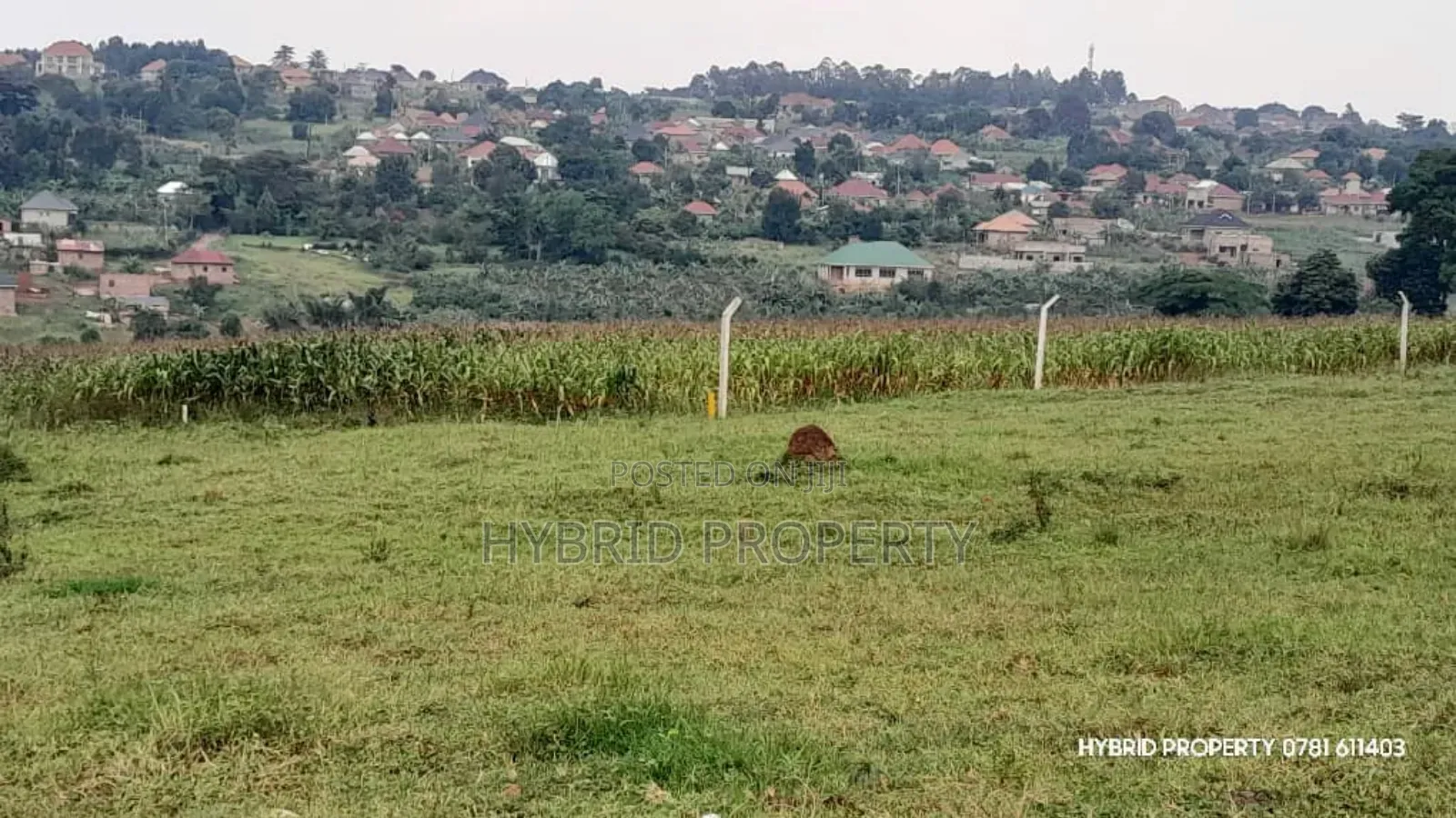 Prime Plots for Sale at Buloba~Bukasa Modern Land Estate~Mityana Road.