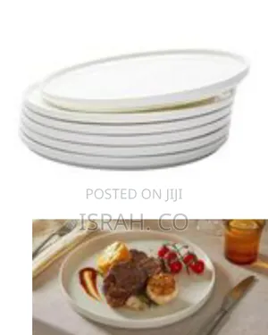 Set of 6 Modern Ceramic Dinner Plates/Serving Platters