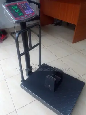 Multifunctional Food Weighing Scale 40kg Weigh Digital Weighing Scale