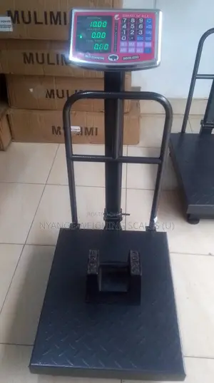 Good Quality Weigh Platform Weighing Scales 350kg Digital Weigh Scale