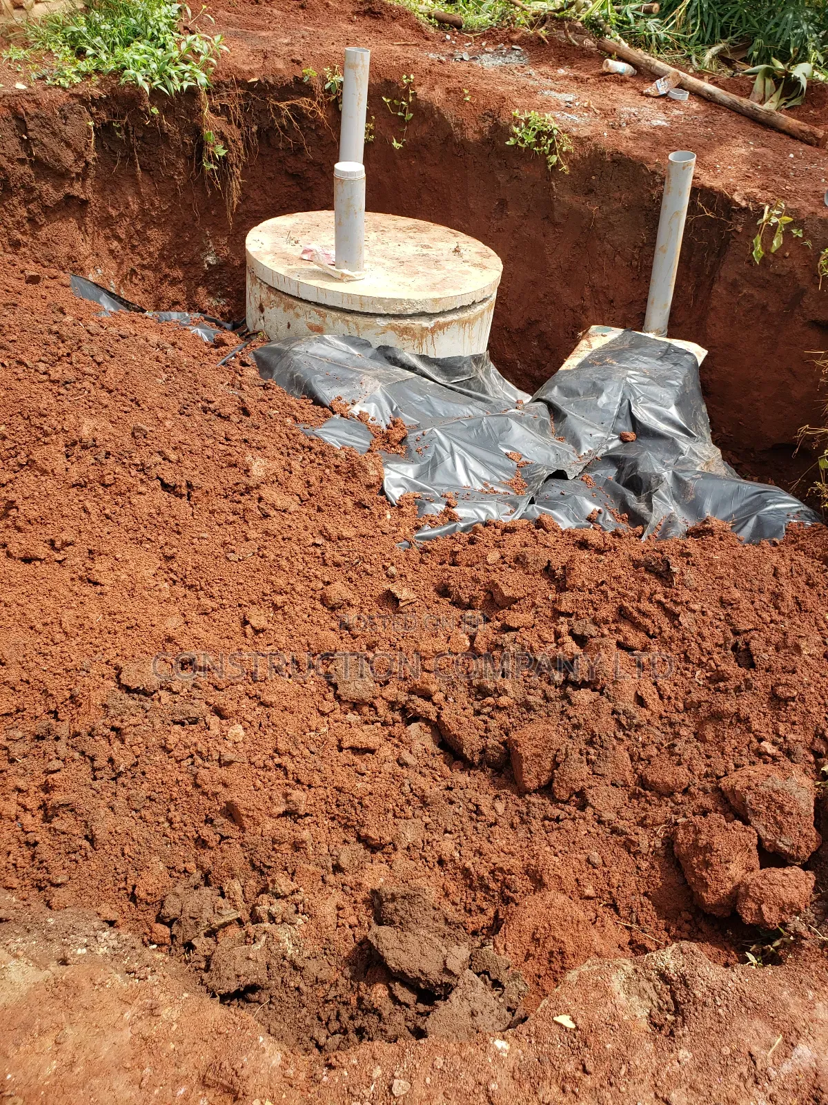 Daily Bio System Digester With Us
