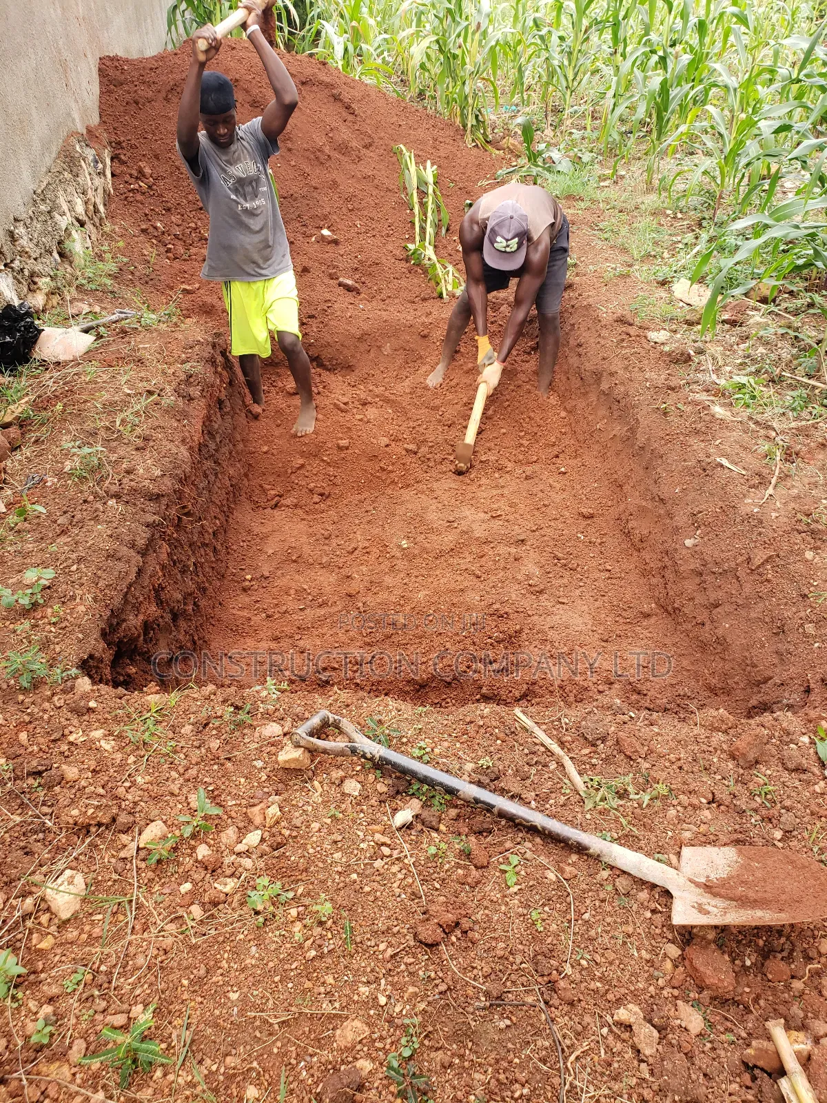 Daily Bio System Digester With Us