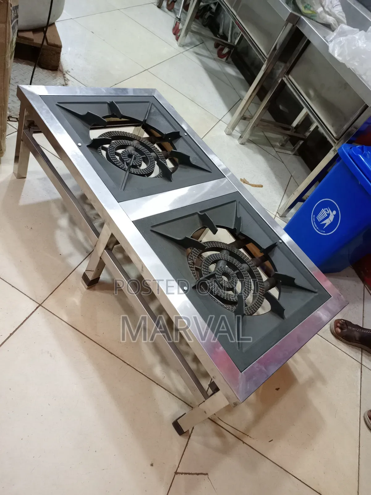 Commercial Stainless Steel Double-Burner Gas Cooker