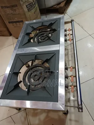 Commercial Stainless Steel Double-Burner Gas Cooker